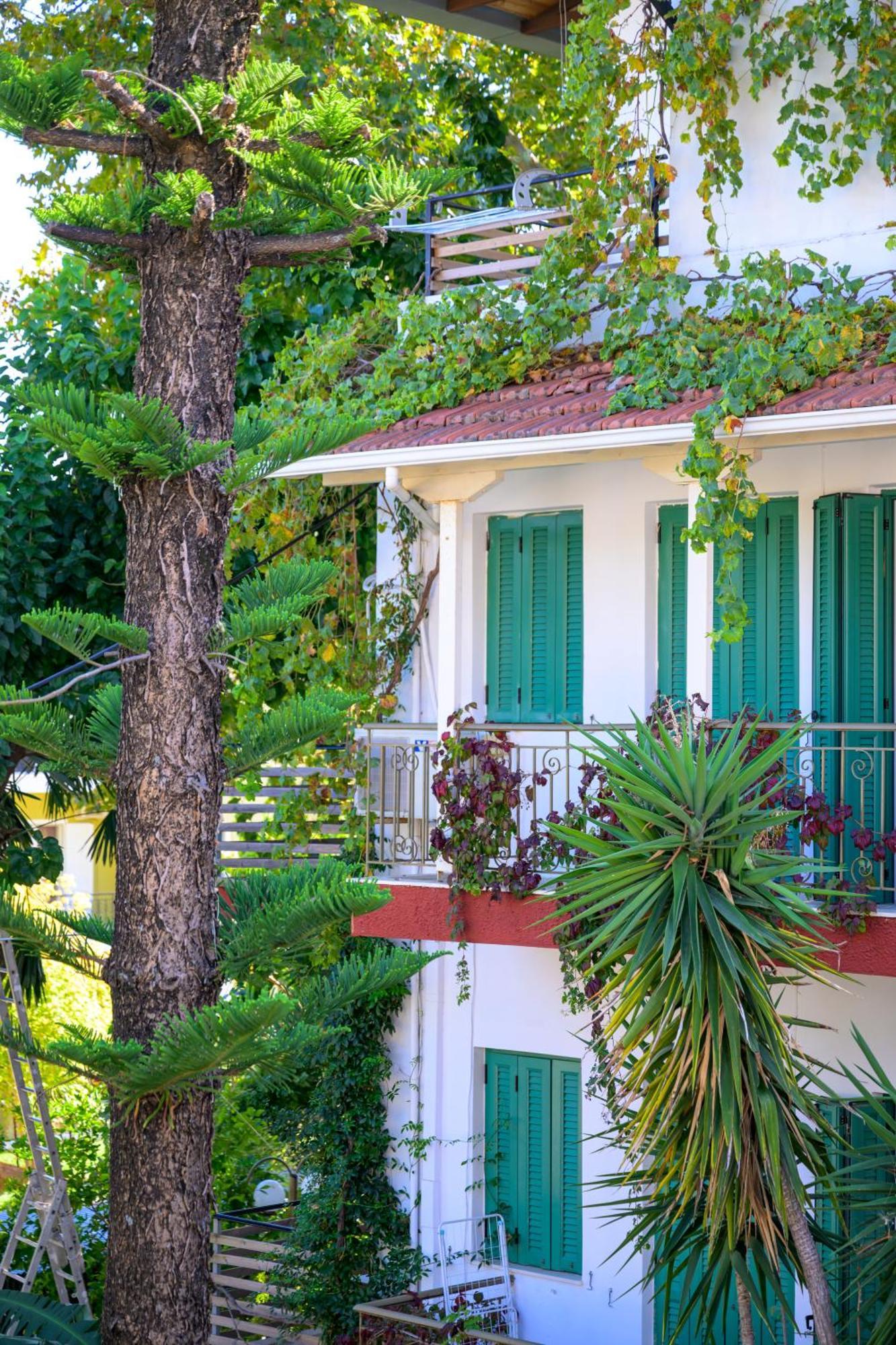 Ionian Paradise Nydri  Eksteriør billede